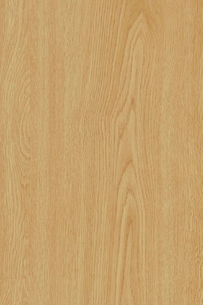 W-YO-09 YELLOW OAK